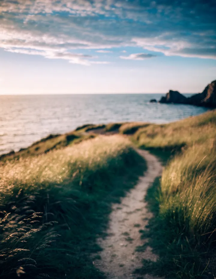 A coastal path at golden hour.
